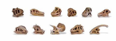 Dino Skulls Bulk Bag 48 Pieces per Package