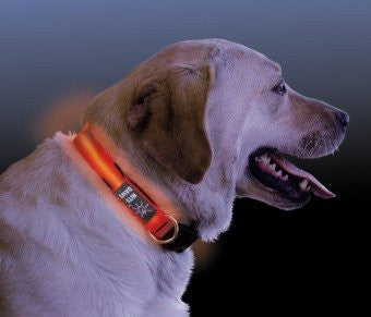 Nite Dawg LED Dog Collar - Red, Large