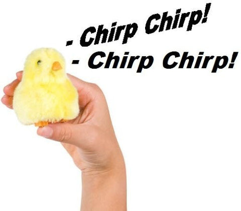 Chirpin' Chick