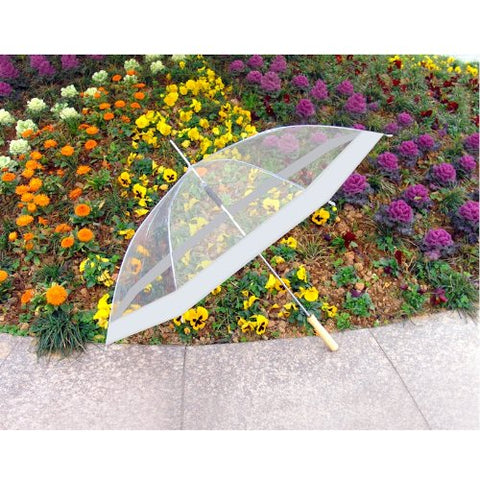 Clear Umbrella with White Accents