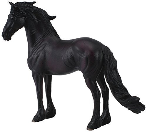Friesian Stallion, XL