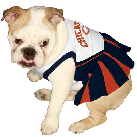 Chicago Bears Cheerleader Dog Dress  Small
