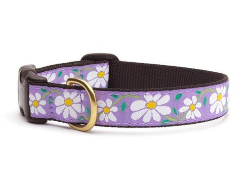 Up Country Daisy Collar - Large