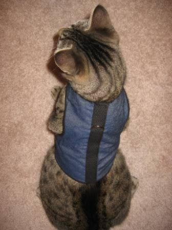 Kitty Holster Cat Harness, Extra Large, Denim Blue