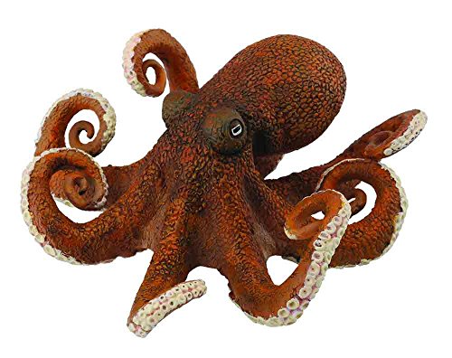 Sea Life - Octopus