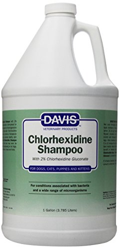 Davis 2% Chlorhexidine Shampoo - 1-Gallon