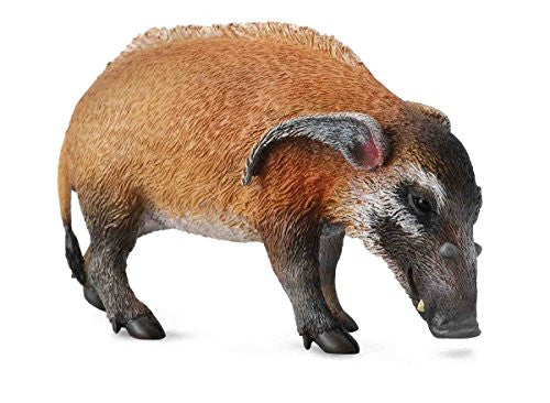 Red River Hog, L