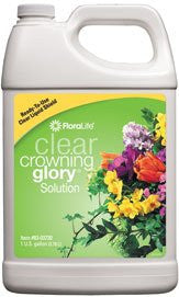 Crowning Glory Clear 1 Gallon - each
