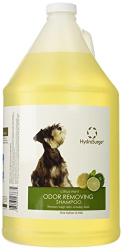 Hydrosurge Odor Removing Shampoo