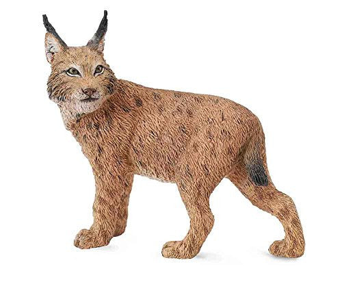 Lynx, L