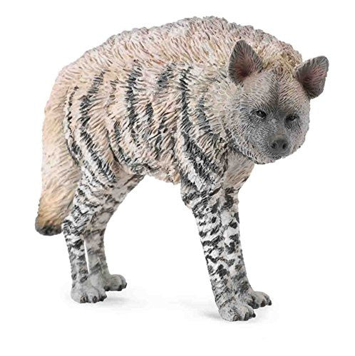 Striped Hyena, M
