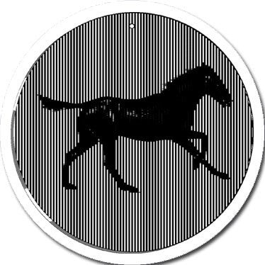 11” HORSE CineSpinner