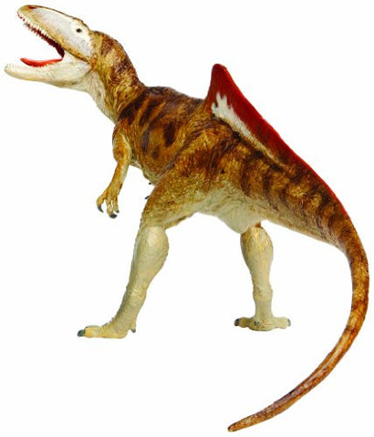 Concavenator Carnegie Dinosaur