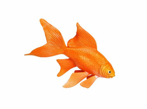 Goldfish Incredible Creatures