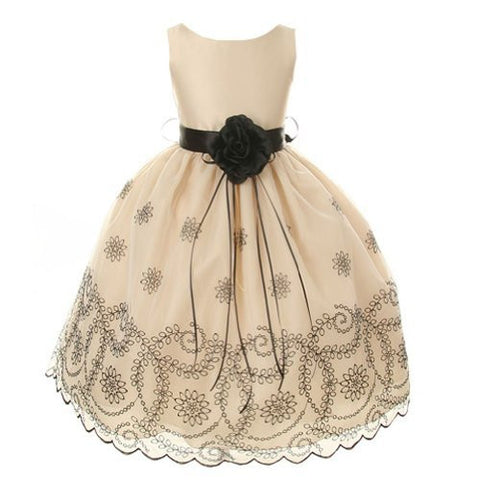 Beautiful Organza Dress with Floral Pattern Embroidered on Skirt - Champagne, Size 10