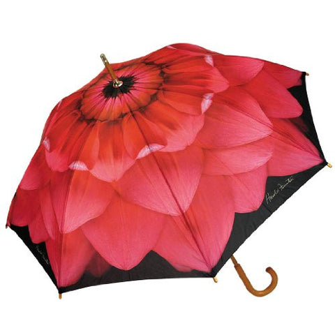 Harold Feinstein Pink Dahlia Cane Umbrella Auto Open
