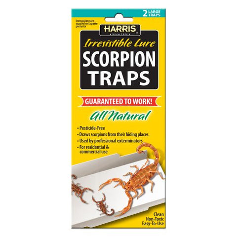 Scorpion Traps, 2 Pk