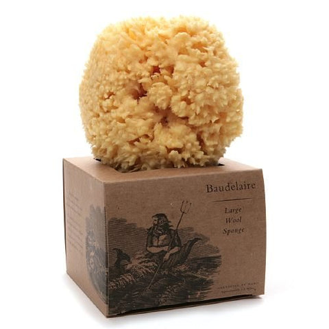 Bath Sponge Gift Box - Large