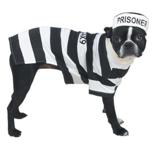 Casual Canine Prison Pooch Costumes - XX-Large