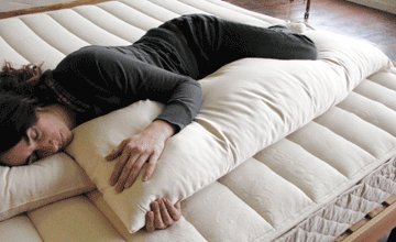 Body Pillow Case, Envelope Style, Sateen (17"x53")