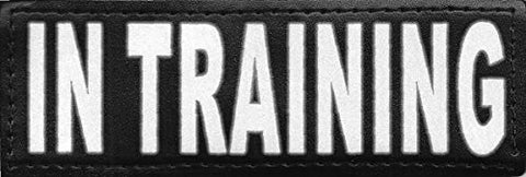 Reflective Removable Patch "IN TRAINING" L/XL (set of 2)