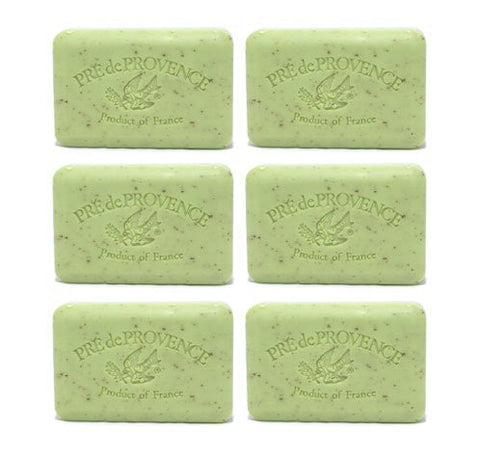 Daily Essentials Shea Butter Enriched Bar Soap - Lime Zest, 250g (Pack of 6)