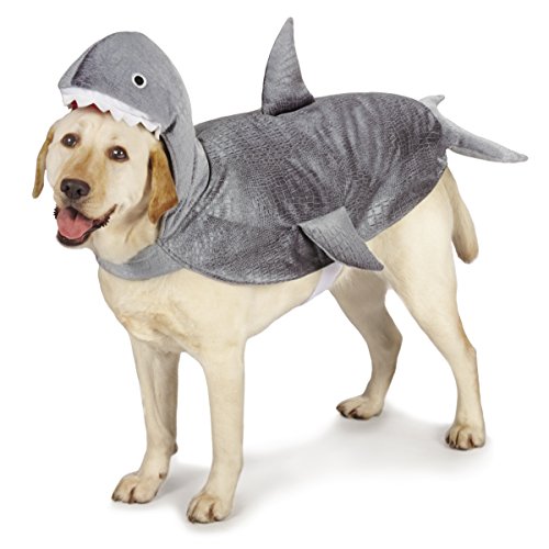 Casual Canine Shark Costumes - X-Small