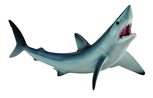 Shortfin Mako Shark, M