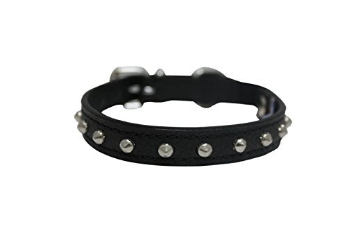 Studded Cat Collars - 12 x 1/2-Inch, Black