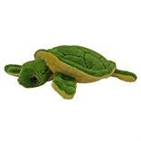 Shelly Turtle, 4"