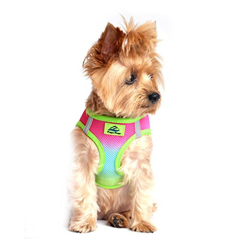 American River Dog Harness Ombre Collection - Rainbow Small