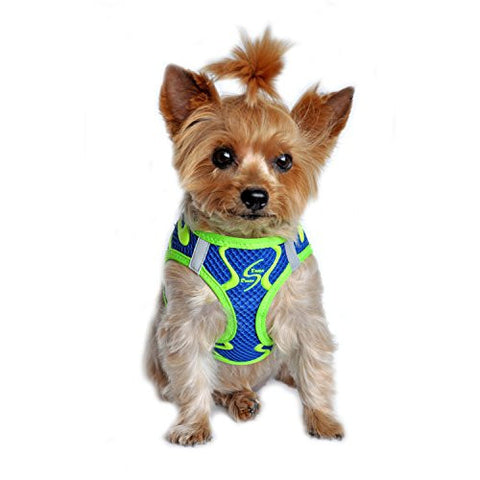 American River Neon Sport Dog Harnesses - Cobalt Blue, Small (13"-16")