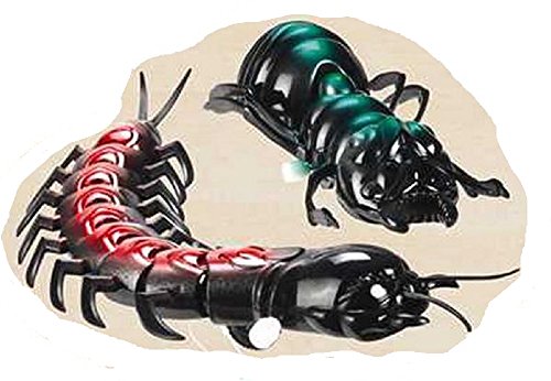 Really Really Big Bugs