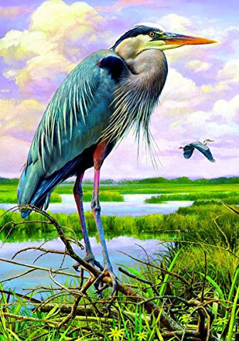 Blue Heron-FL