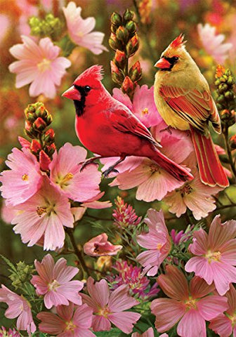 Cardinal Love-FL