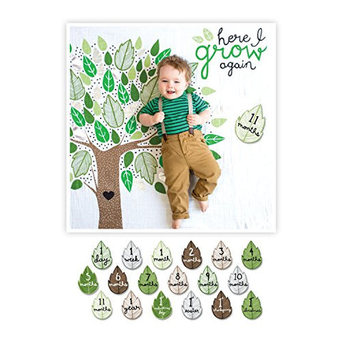 Baby's First Year Deluxe Blanket & Cards Set - Here I Grow Again