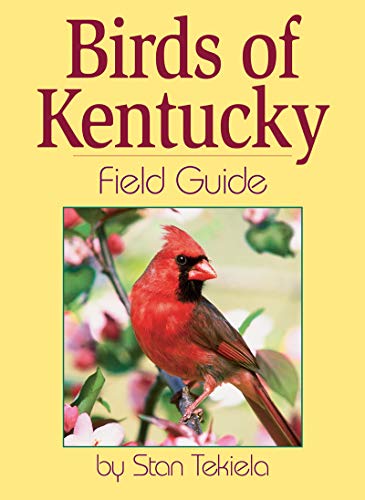 Birds of Kentucky Field Guide (Paperback)