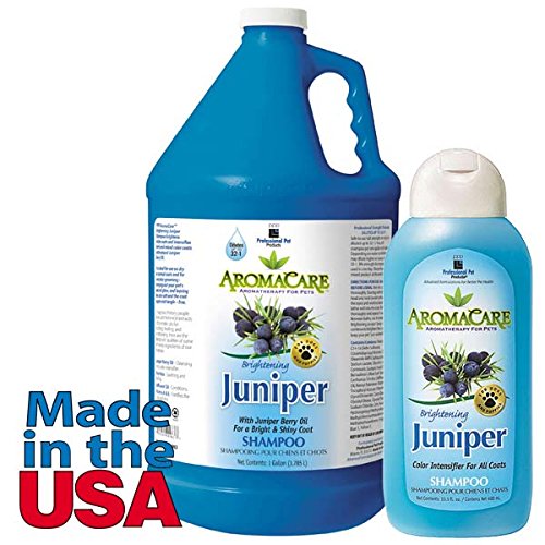 AromaCare Brightening Juniper Shampoo, 1 Gallon