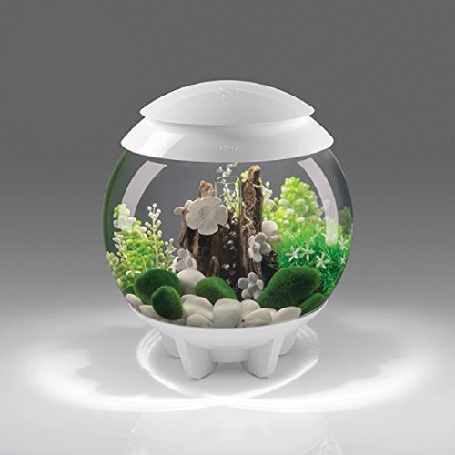BiOrb Halo 30 Liter White Aquarium with MCR Lighting