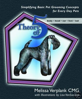 Theory of Five Book by Melissa Verplank