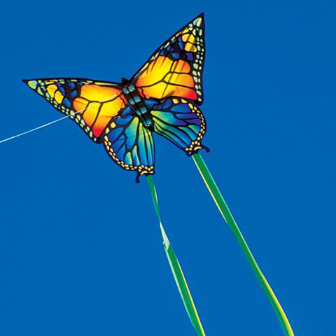Gunther Butterfly Kite