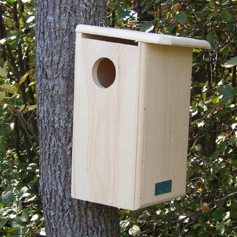 Squirrel Hse
