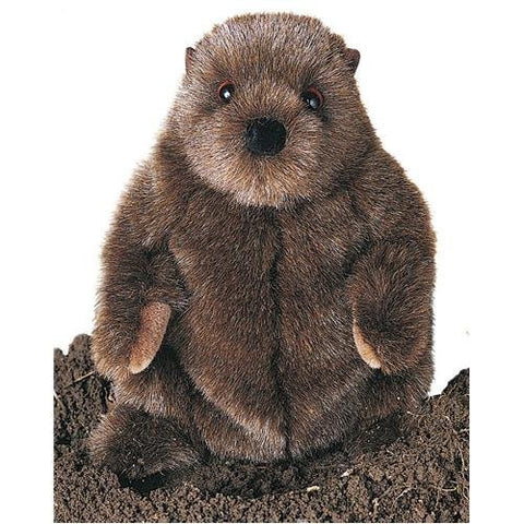 Chuckwood Groundhog 11" by Douglas Cuddle Toys