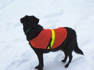 Petsavers Reflective Dog vest Medium