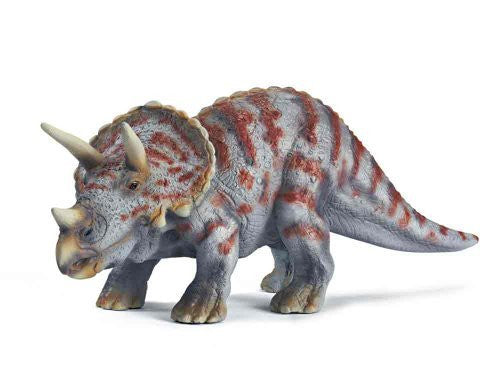 Triceratops