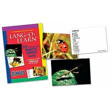 Lang-O-Learn Cards - Insects and Bugs