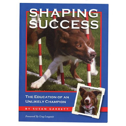 Shaping Success (The Education of an Unlikely Champion)