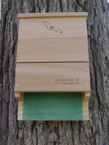 OBC Bat Triple Chamber