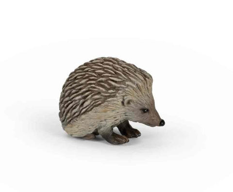 Hedgehog