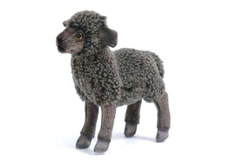 Kid Black Sheep 11.02" by Hansa